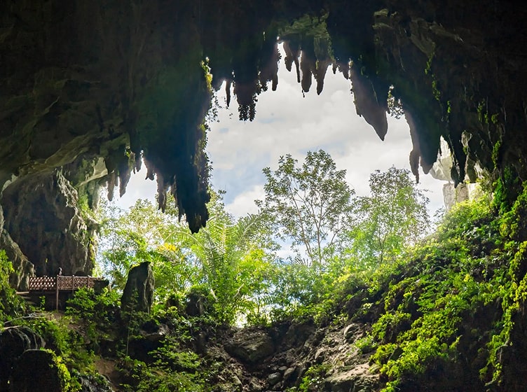 Lush cave entrance framed by stalactites, sunlight lighting a peaceful wooden platform.