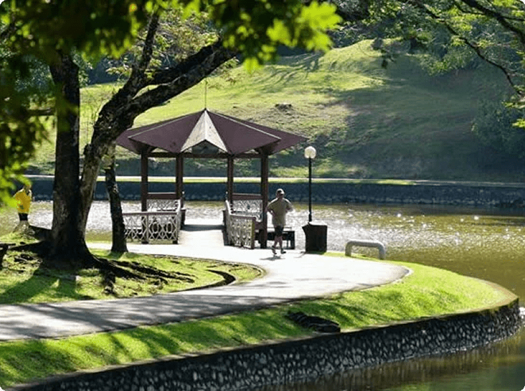 Serene park with gazebo by lake; person walks on path amid green grass and tree in bright sunlight.